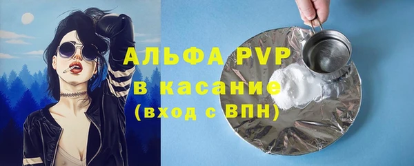 стафф Алексин