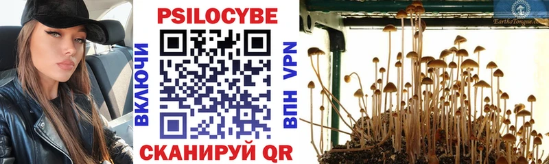 Псилоцибиновые грибы ЛСД  Искитим 